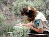 Forest ranger studying complex system